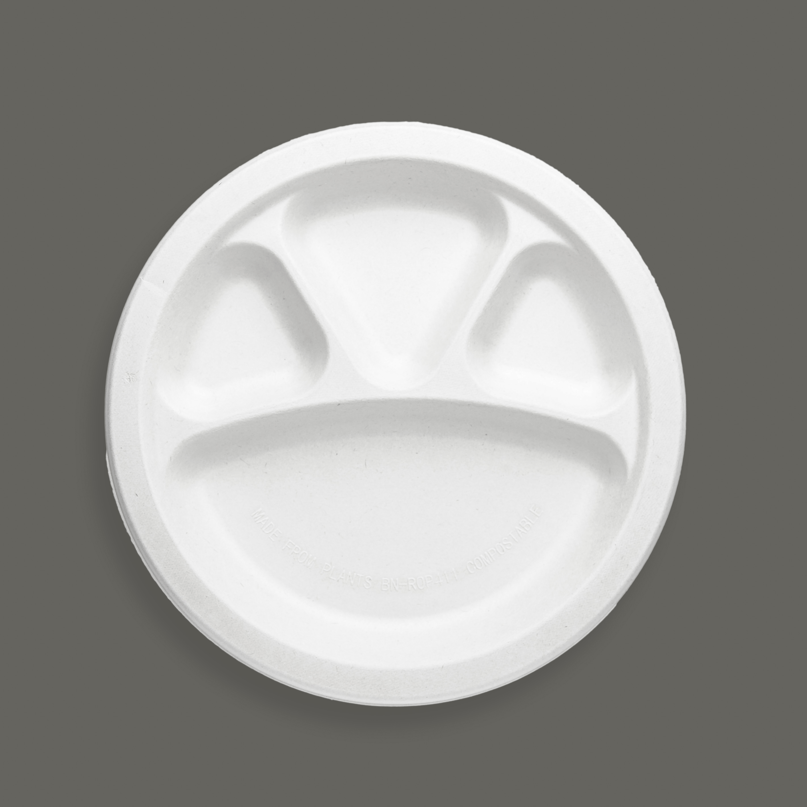 5C Plate